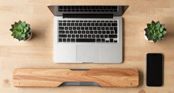 10 Best Desk Riser for Tax Preparers in 2026