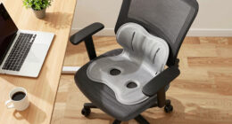 11 Best Office Chairs for Back Support During Tax Prep in 2026