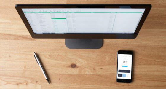 11 Best Portable Monitor Under $300 for Accountants in 2026