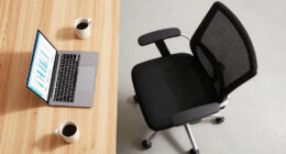 12 Best Office Chair for Small Business Owners in 2026