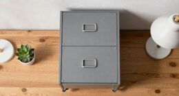13 Best Rolling File Cabinet for Home Tax Office in 2026