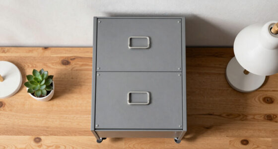 13 Best Rolling File Cabinet for Home Tax Office in 2026