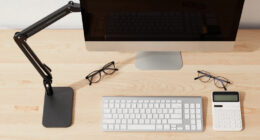 14 Best Freestanding Monitor Arms for Accountants in 2026