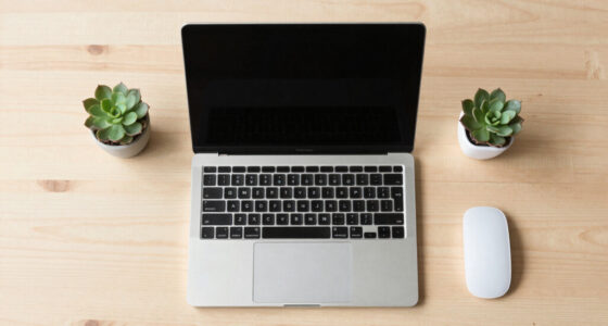9 Best Portable Monitor for Laptop Tax Setup in 2026